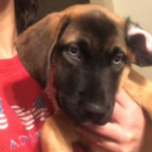 Meet your Posher, Dave